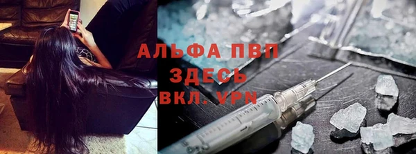 ПСИЛОЦИБИНОВЫЕ ГРИБЫ Алзамай