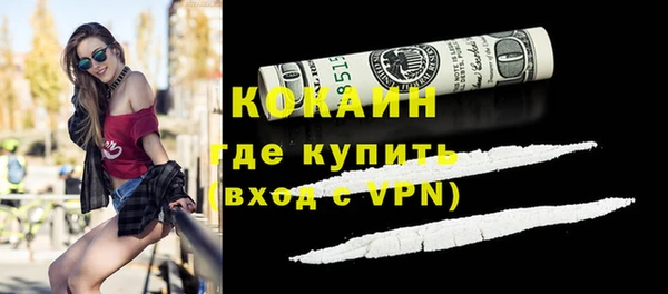 сатива Покачи