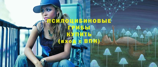 ПСИЛОЦИБИНОВЫЕ ГРИБЫ Алзамай