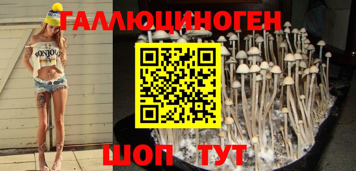 где купить наркоту  Псилоцибиновые грибы мухоморы  Мегион  Вход с VPN  Псилоцибиновые грибы мухоморы 